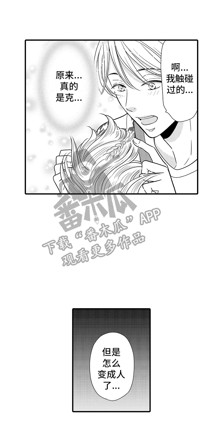 毛茸茸的偏爱漫画,第17话1图
