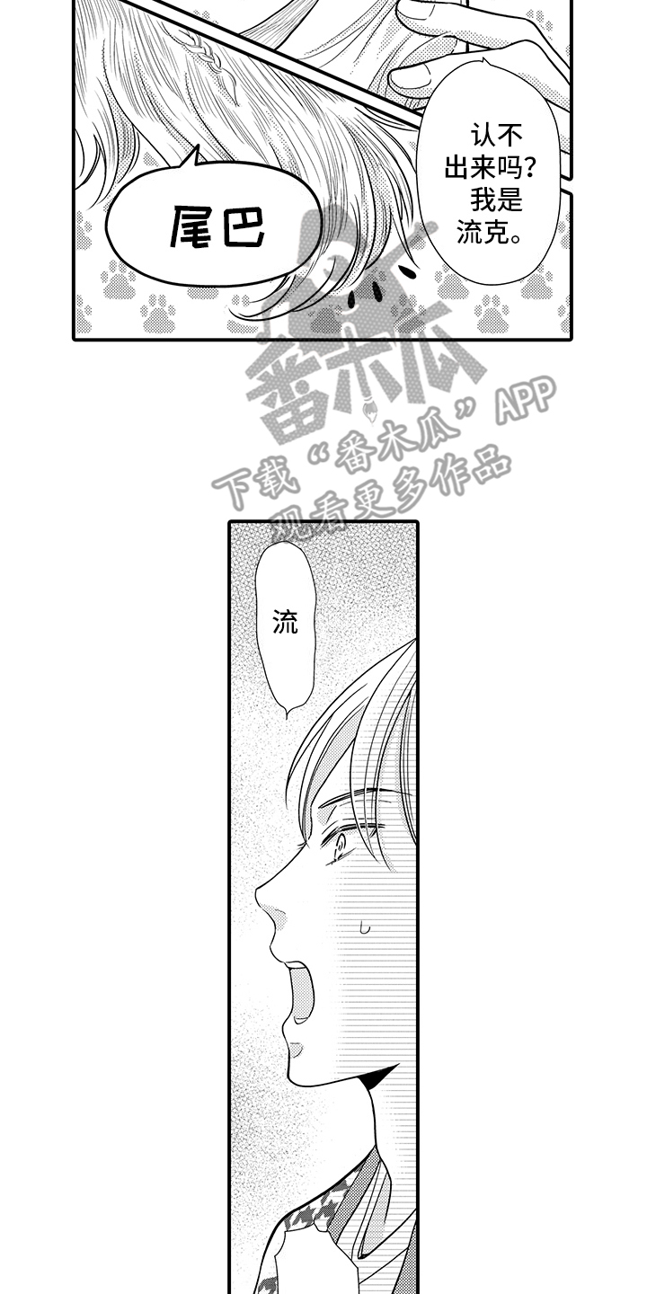 毛茸茸的偏爱漫画,第17话1图