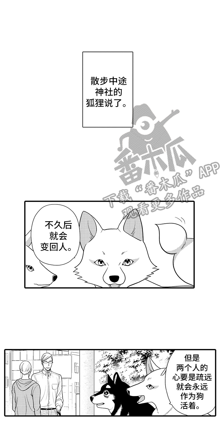 毛茸茸的偏爱漫画,第9话1图