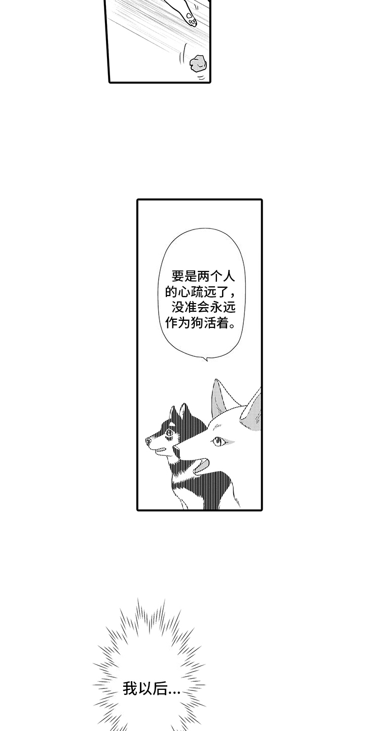 毛茸茸的读音漫画,第13话2图