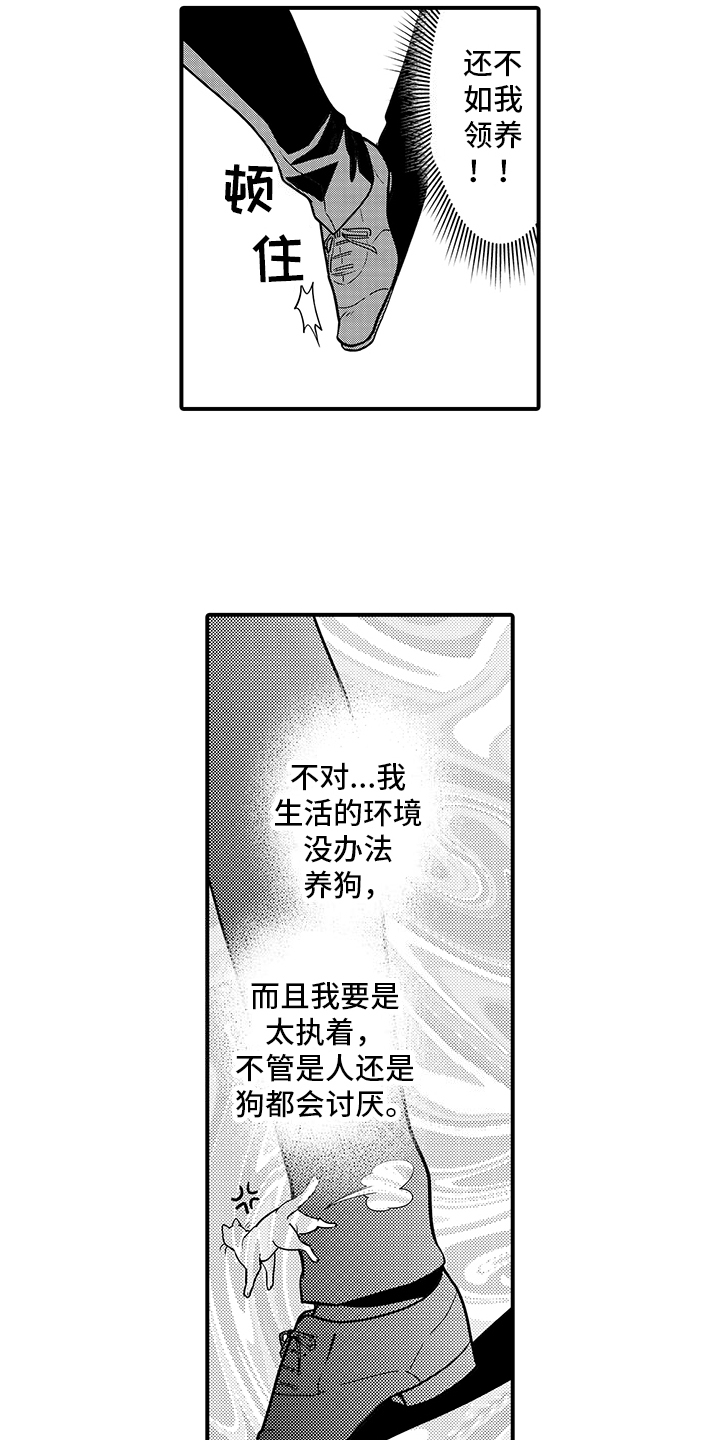 毛茸茸的偏爱漫画,第15话2图