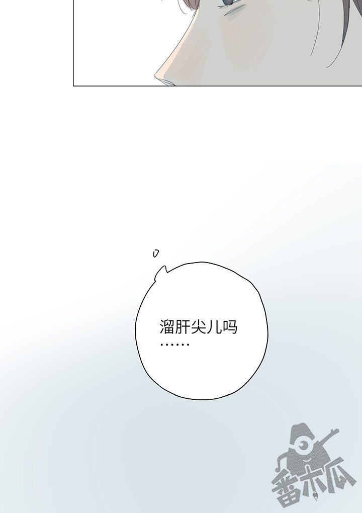 最爱你的那十年贺知书蒋文旭免费完整漫画,第55话1图