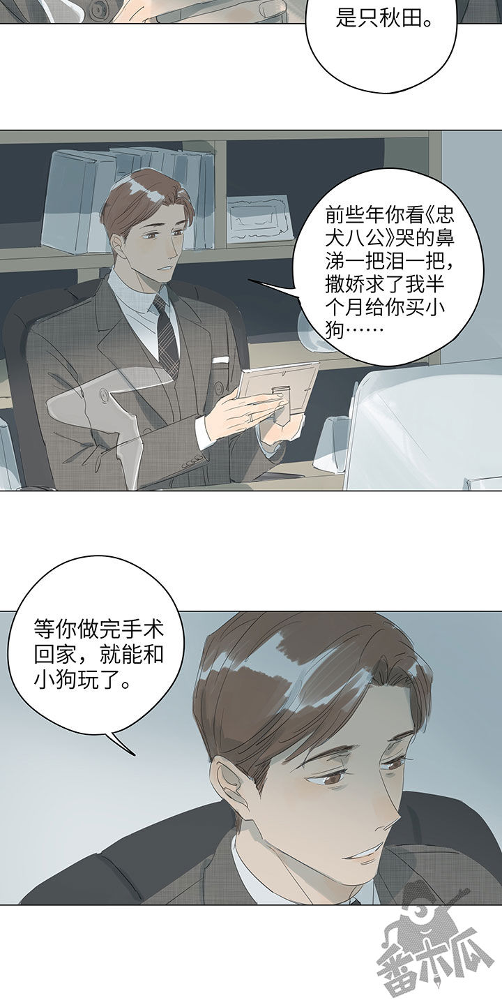 最爱你的那十年讲了什么漫画,第66话1图