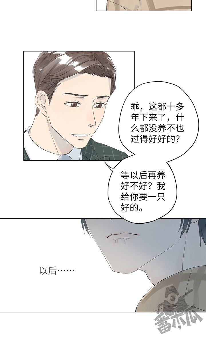 最爱你的那十年小说全文免费阅读笔趣阁漫画,第16话1图