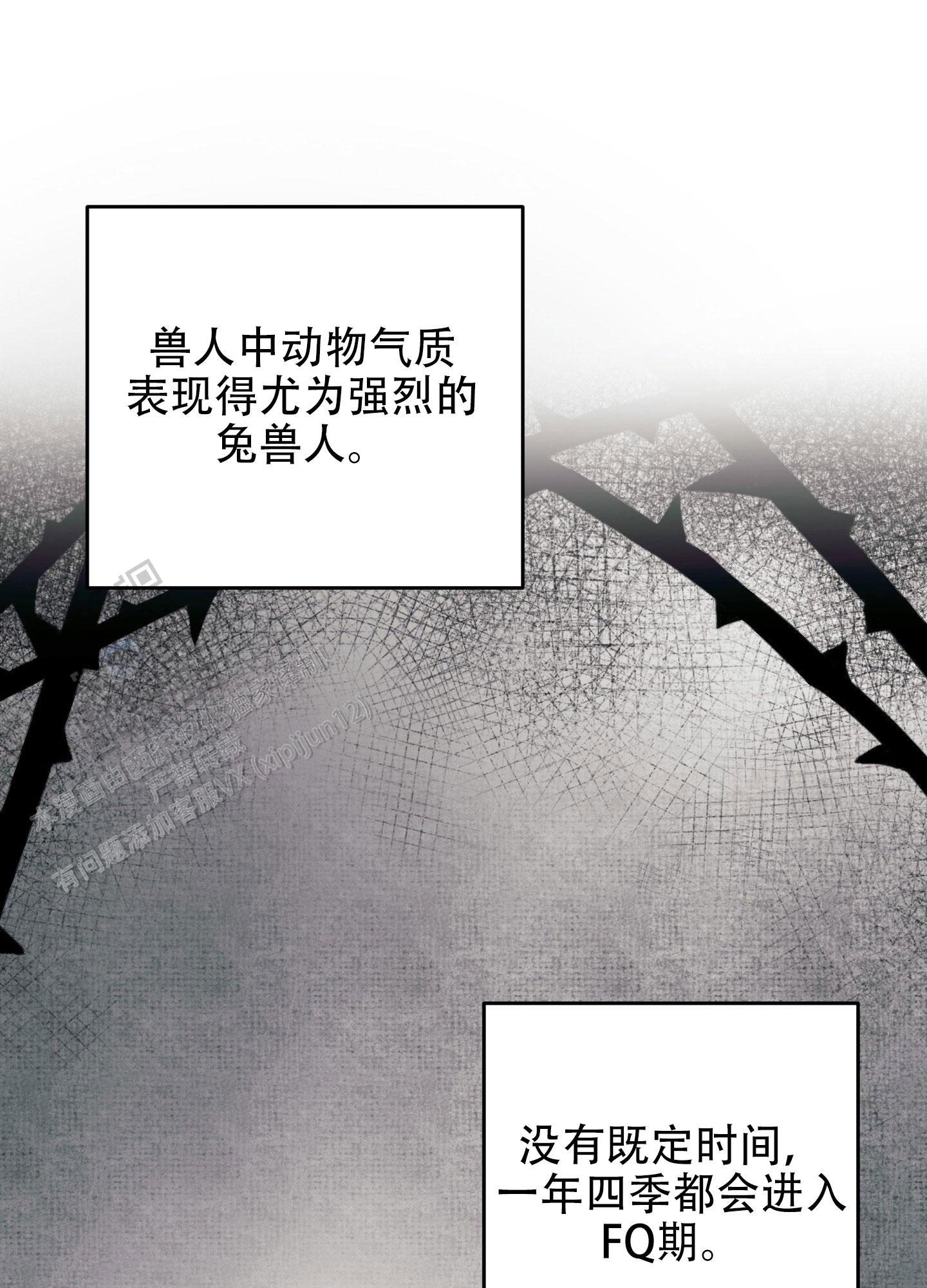 兔子保卫家园漫画,第6话2图