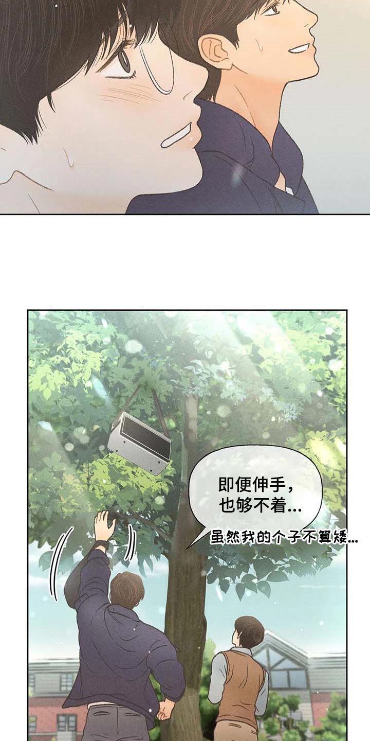 秋牡丹品种漫画,第28话2图