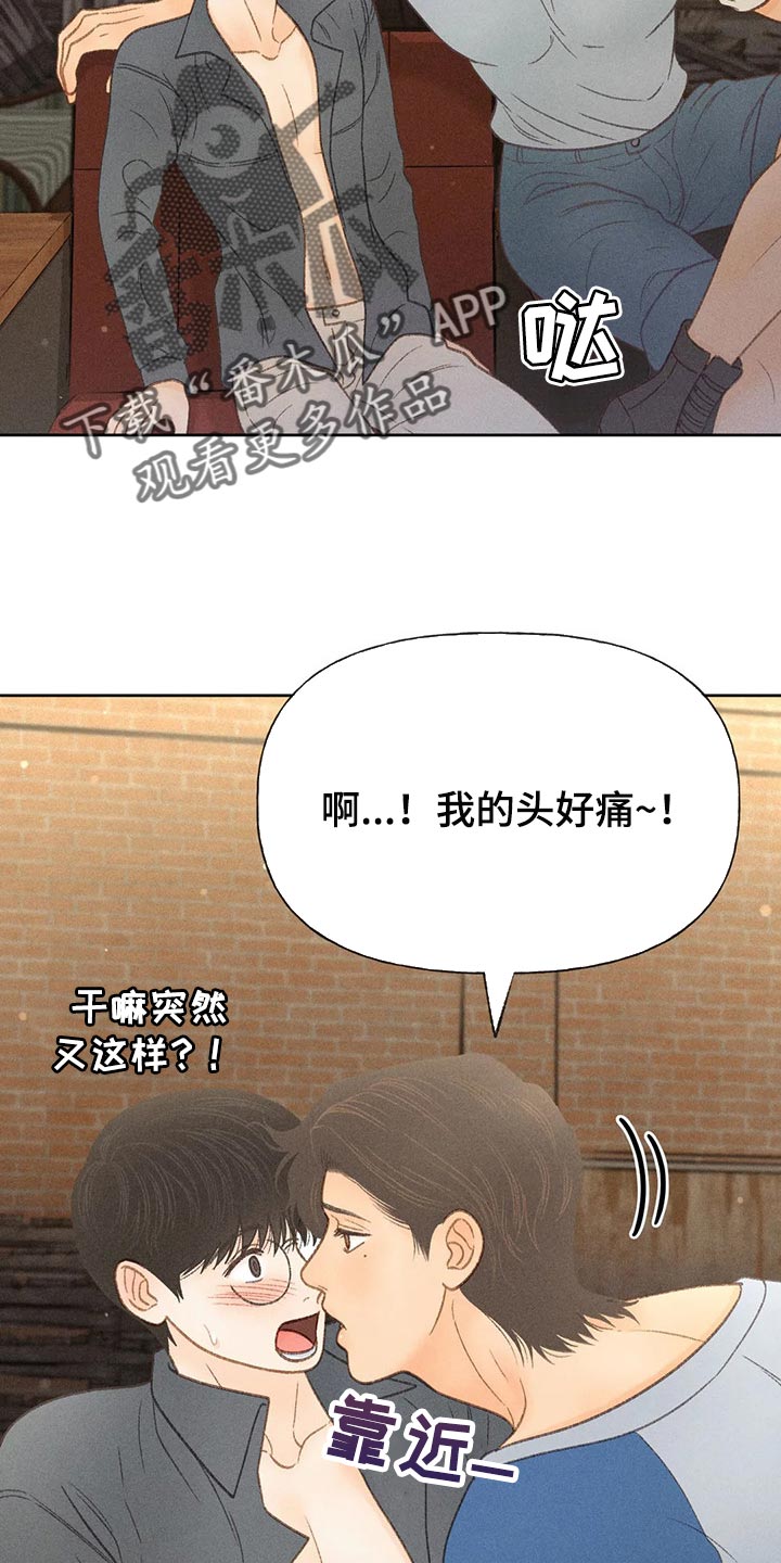 秋牡丹茶花图片大全漫画,第40话2图