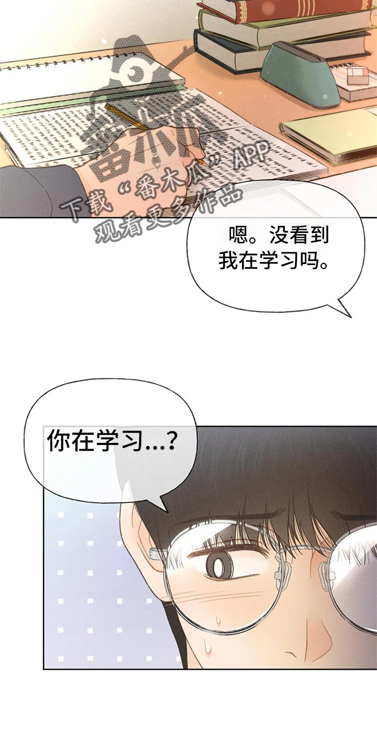 秋牡丹怎么采摘漫画,第48话1图