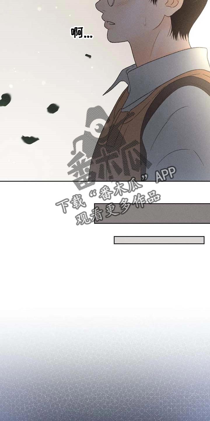 秋牡丹耐晒吗漫画,第29话1图