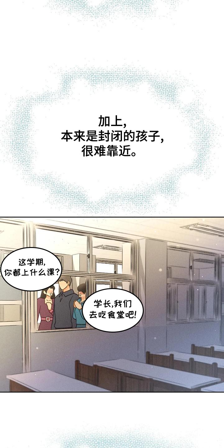 秋牡丹和洋牡丹有区别吗漫画,第67话2图