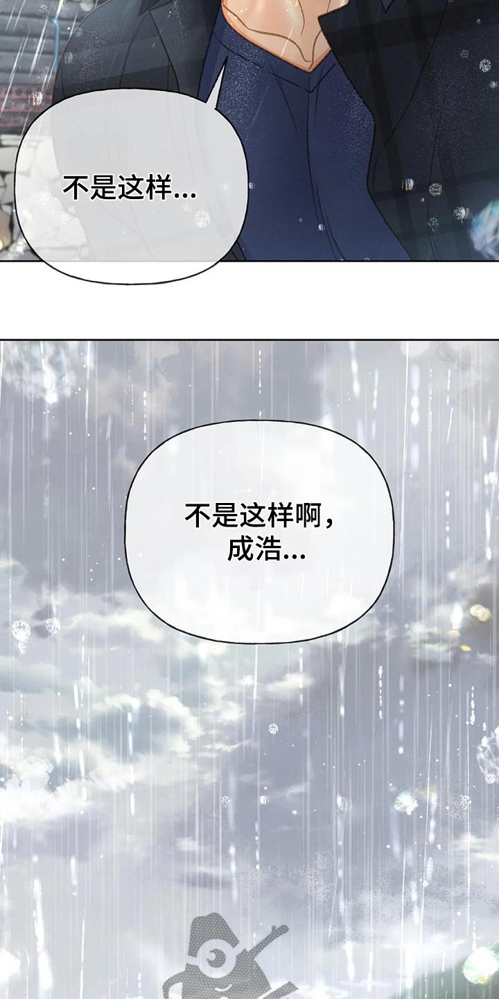 秋牡丹叶片图片漫画,第117话2图