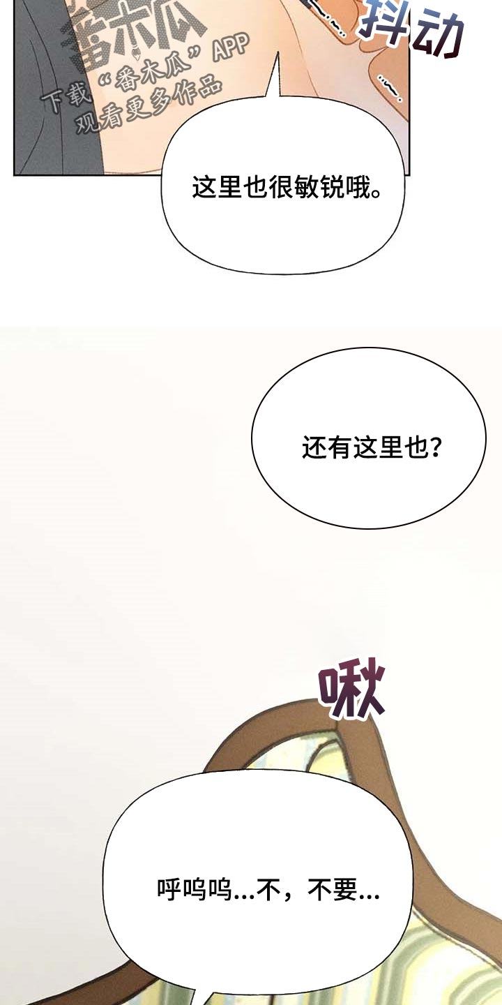 秋牡丹花期最长的品种漫画,第43话2图