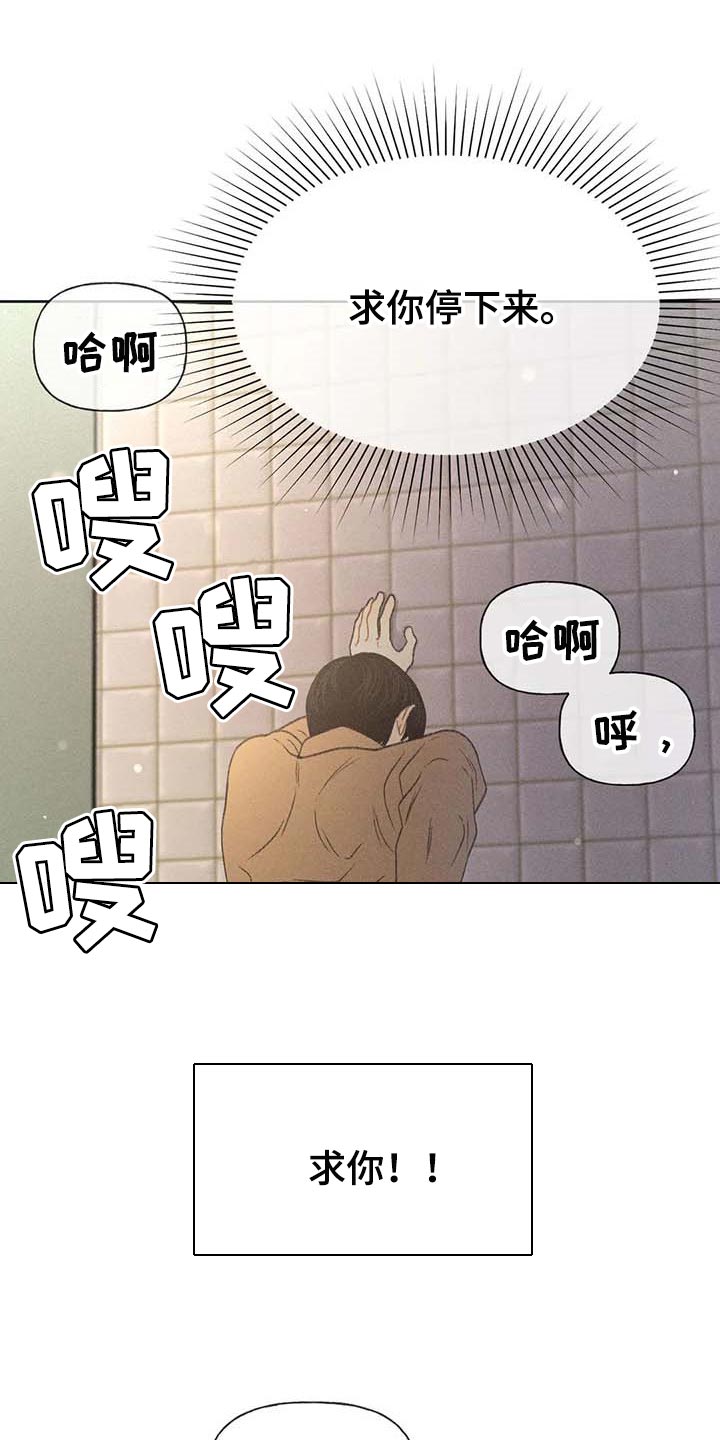 秋牡丹花期最长的品种漫画,第31话1图