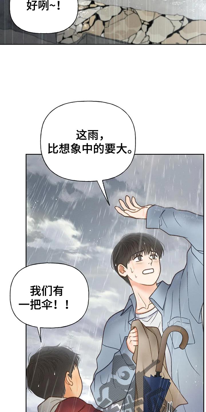 秋牡丹养护处理方法漫画,第112话2图