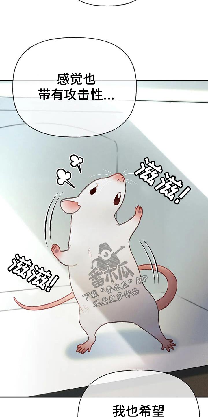 秋牡丹剧场漫画,第132话1图