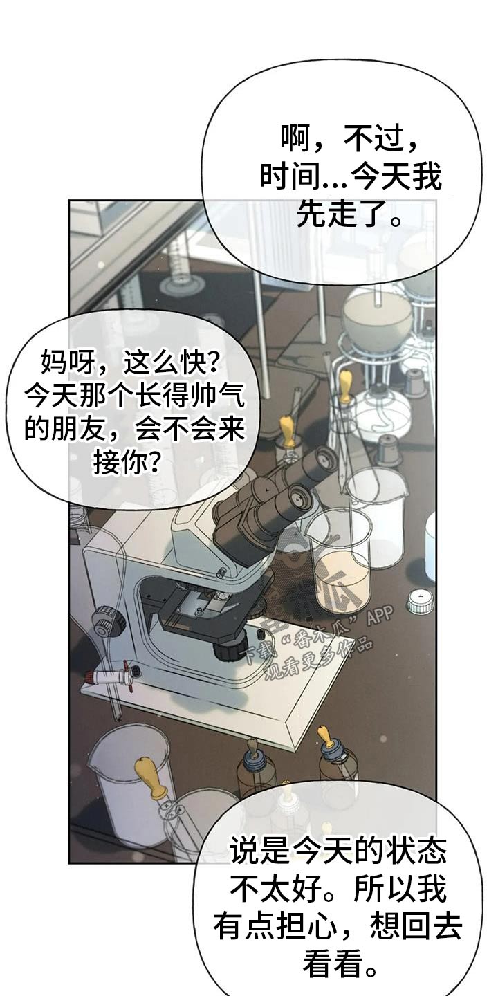 秋牡丹有几种漫画,第133话1图