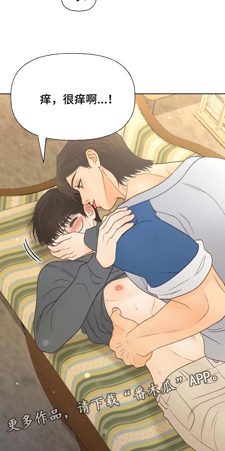 秋牡丹绘画素材漫画,第42话1图