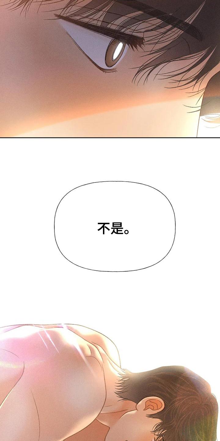 秋牡丹适合盆栽吗漫画,第74话2图