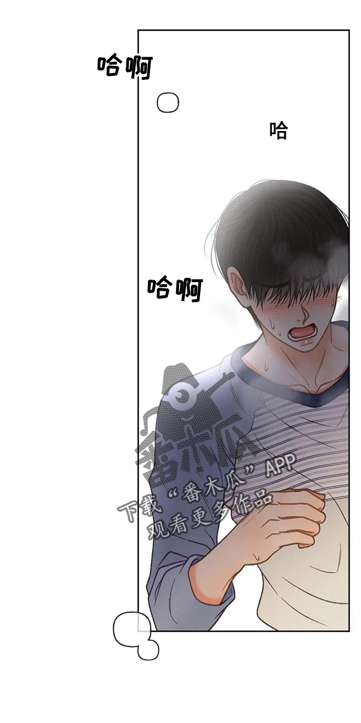 秋牡丹品种漫画,第104话2图