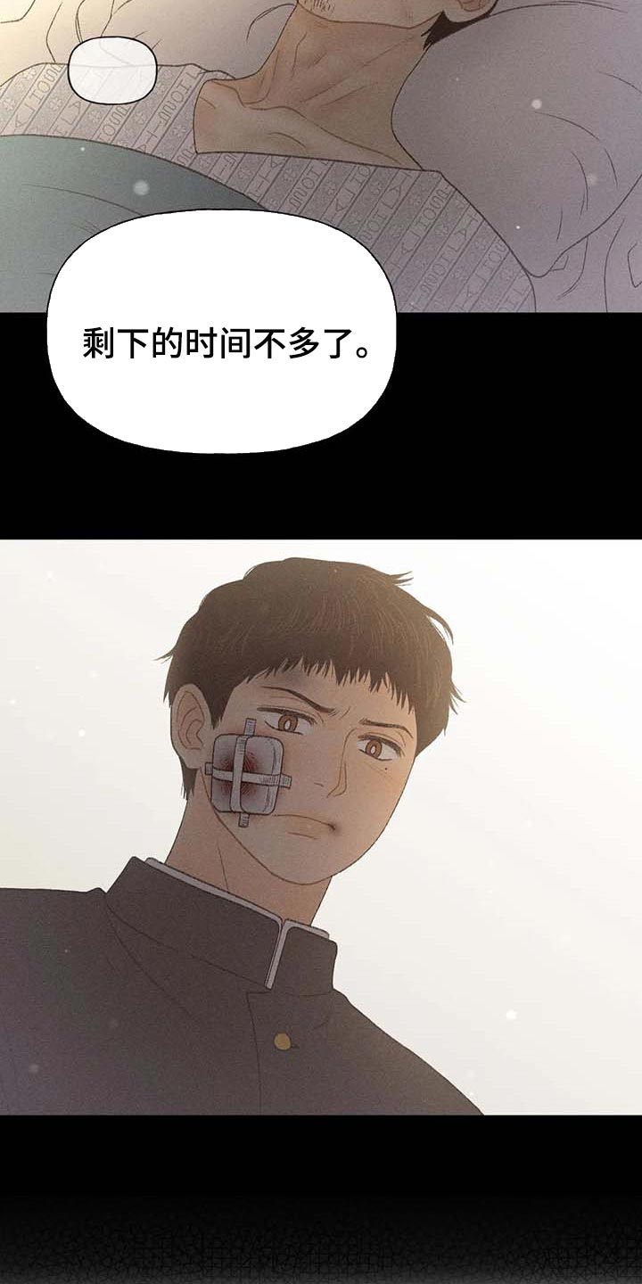 秋牡丹绘画素材漫画,第31话2图