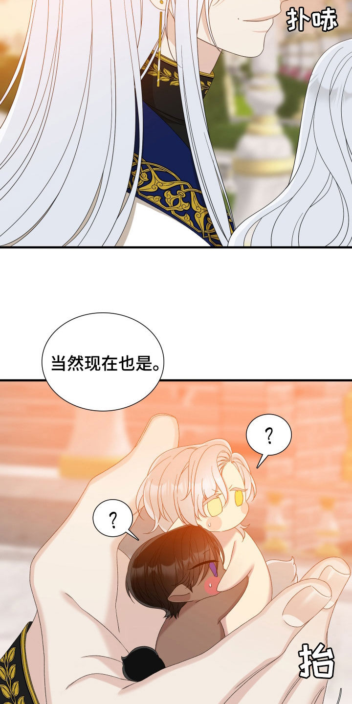 亡国血脉角色介绍漫画,第125话2图