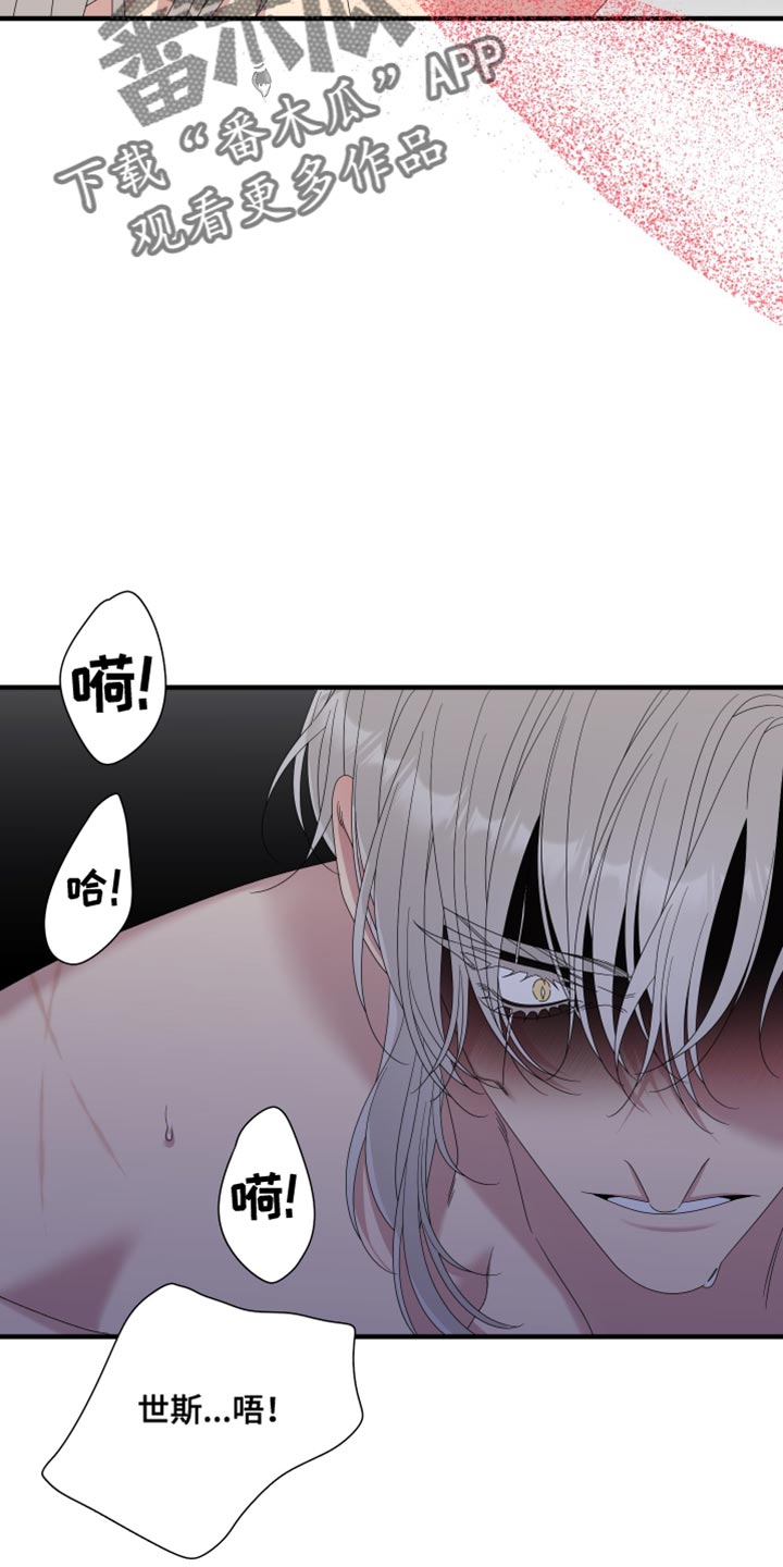 王国血脉免费阅读漫画,第101话1图