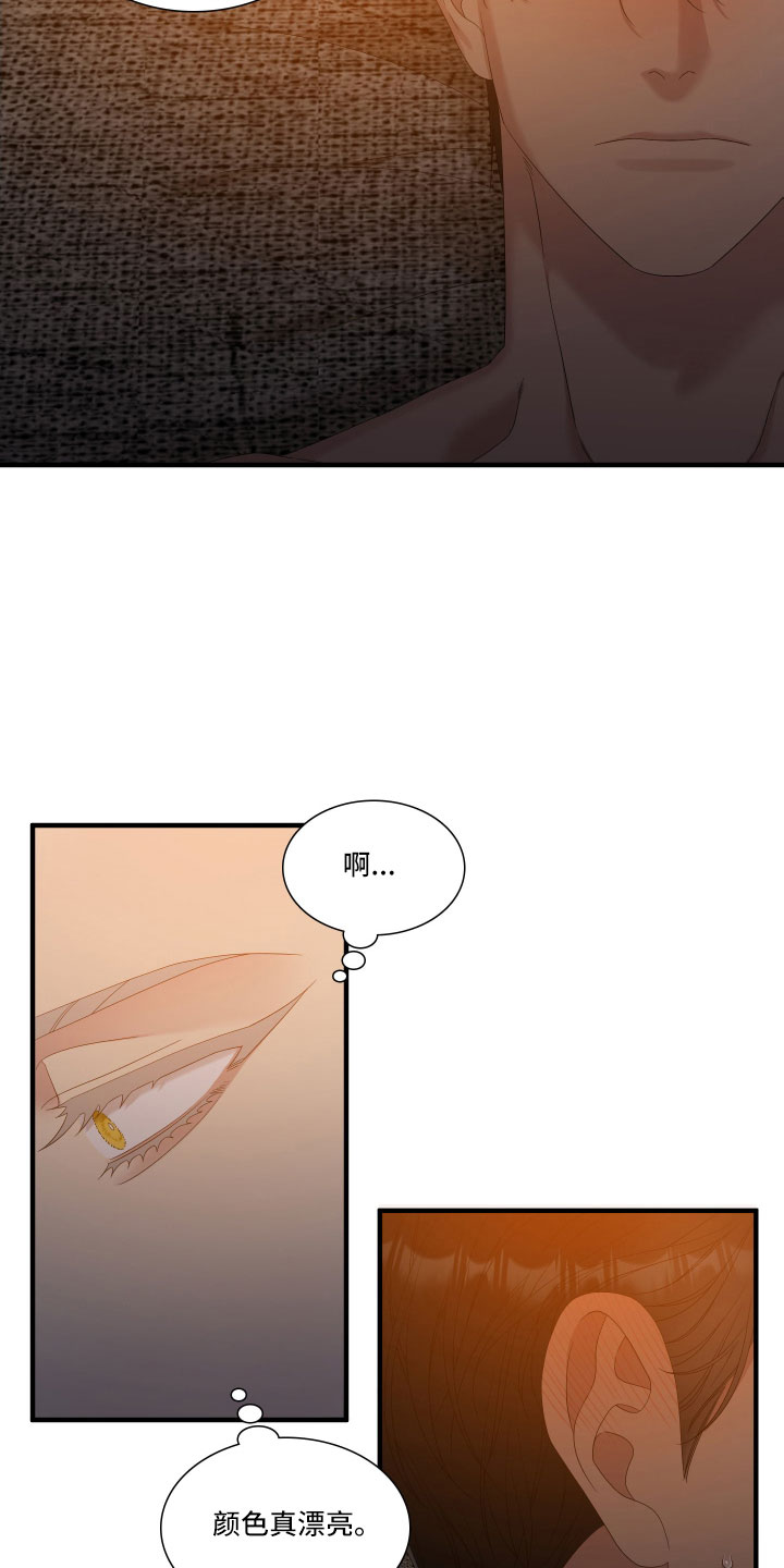 亡国血脉韩漫在哪看漫画,第57话1图