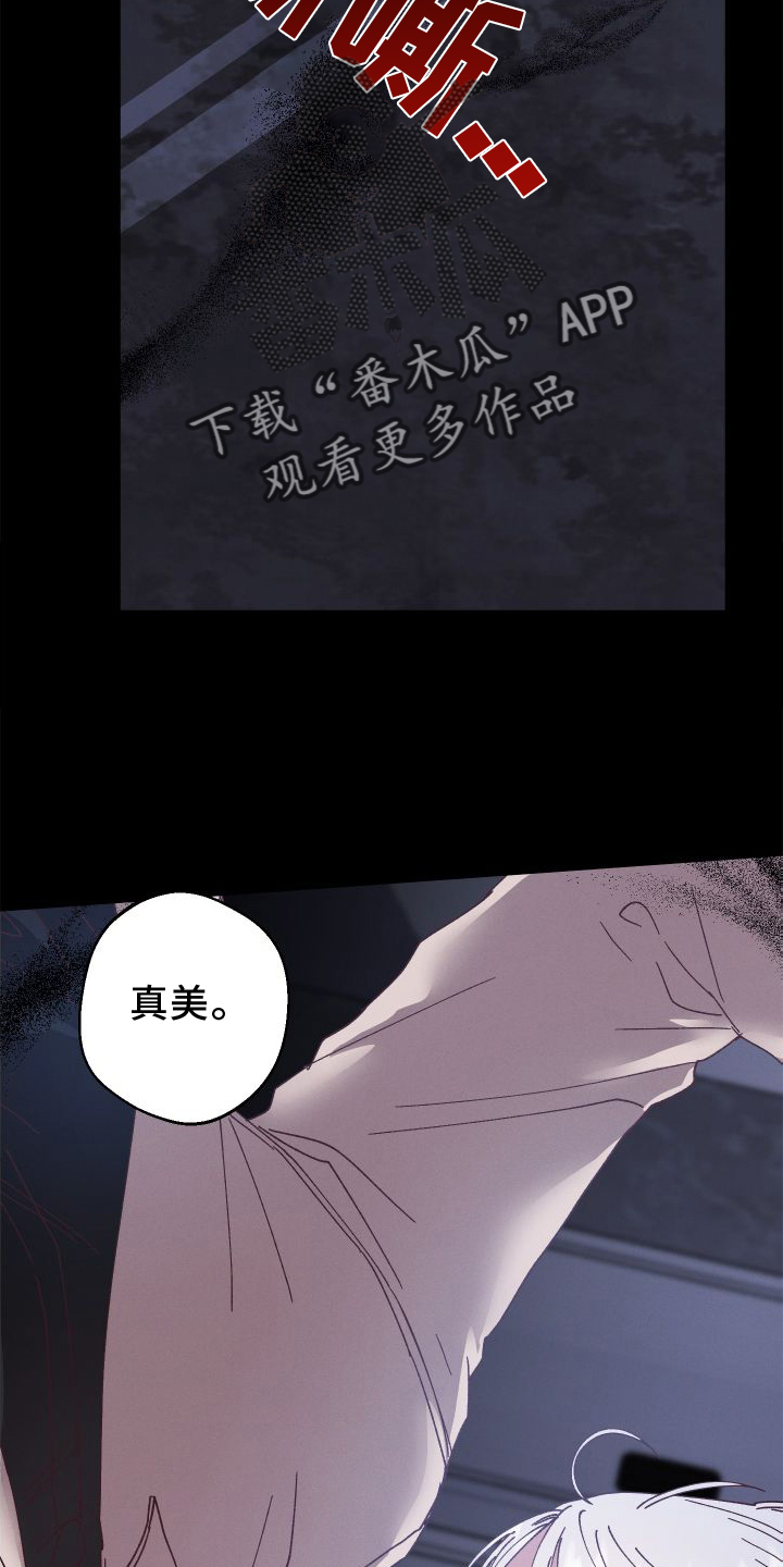 金虎不能随便养漫画,第54话1图