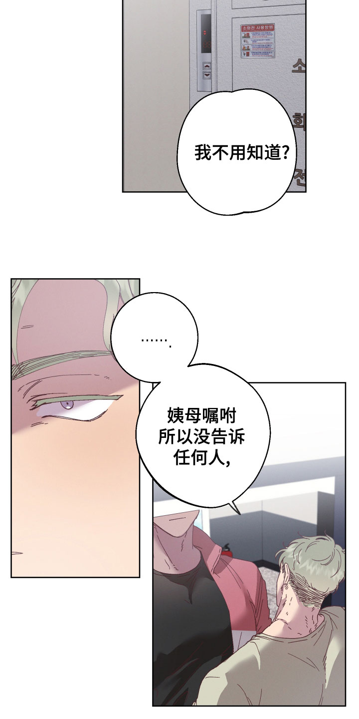 金湖山庄深圳盛孚物业最新消息漫画,第37话1图