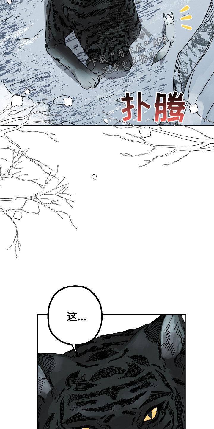 金虎煞神漫画,第19话1图