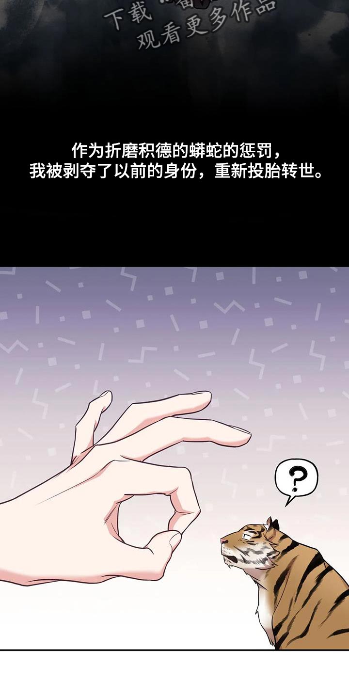 虎患漫画,第35话2图