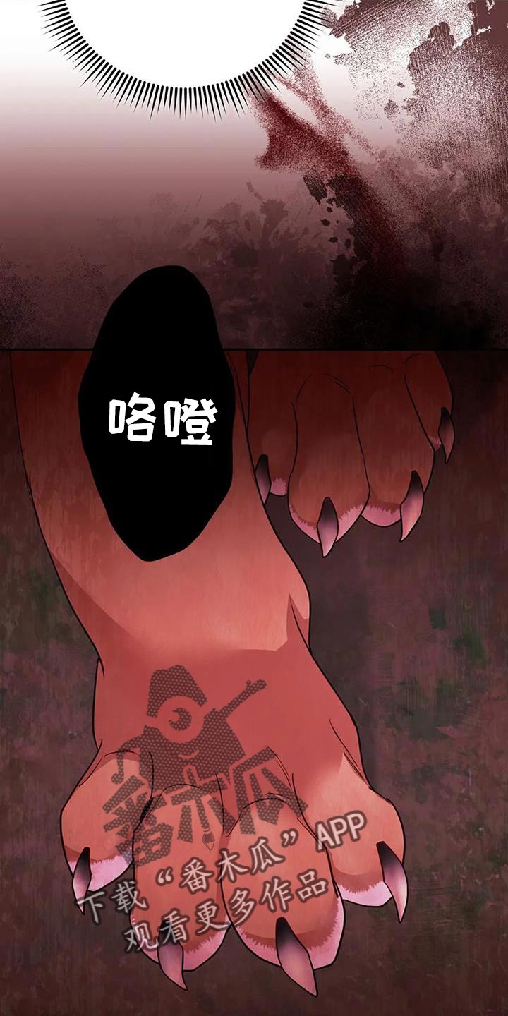 虎皮鹦鹉漫画,第21话2图