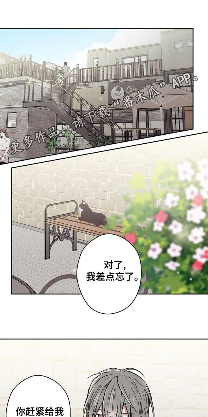 幸运额度是什么意思漫画,第34话1图