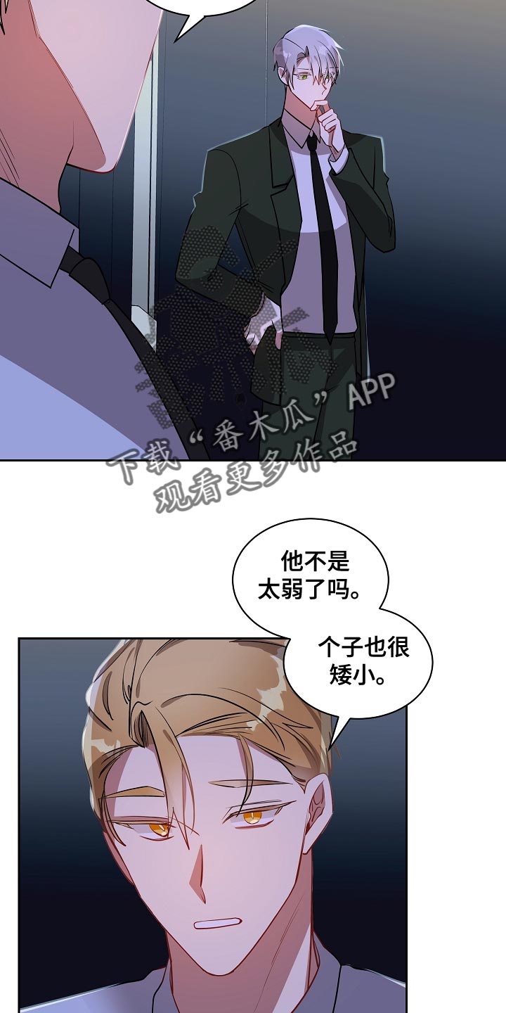 罪域1-40集全免费漫画,第47话2图