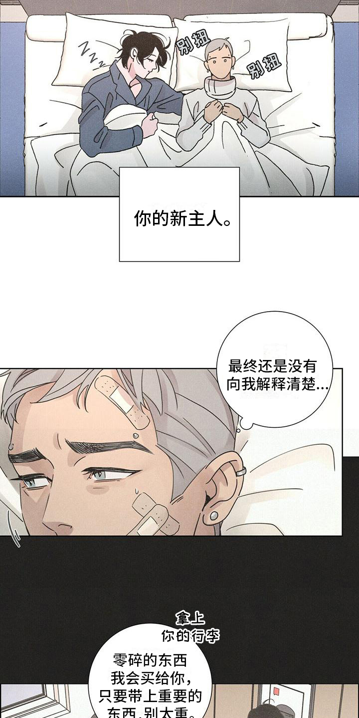 爱情深邃的眼神视频漫画,第4话2图