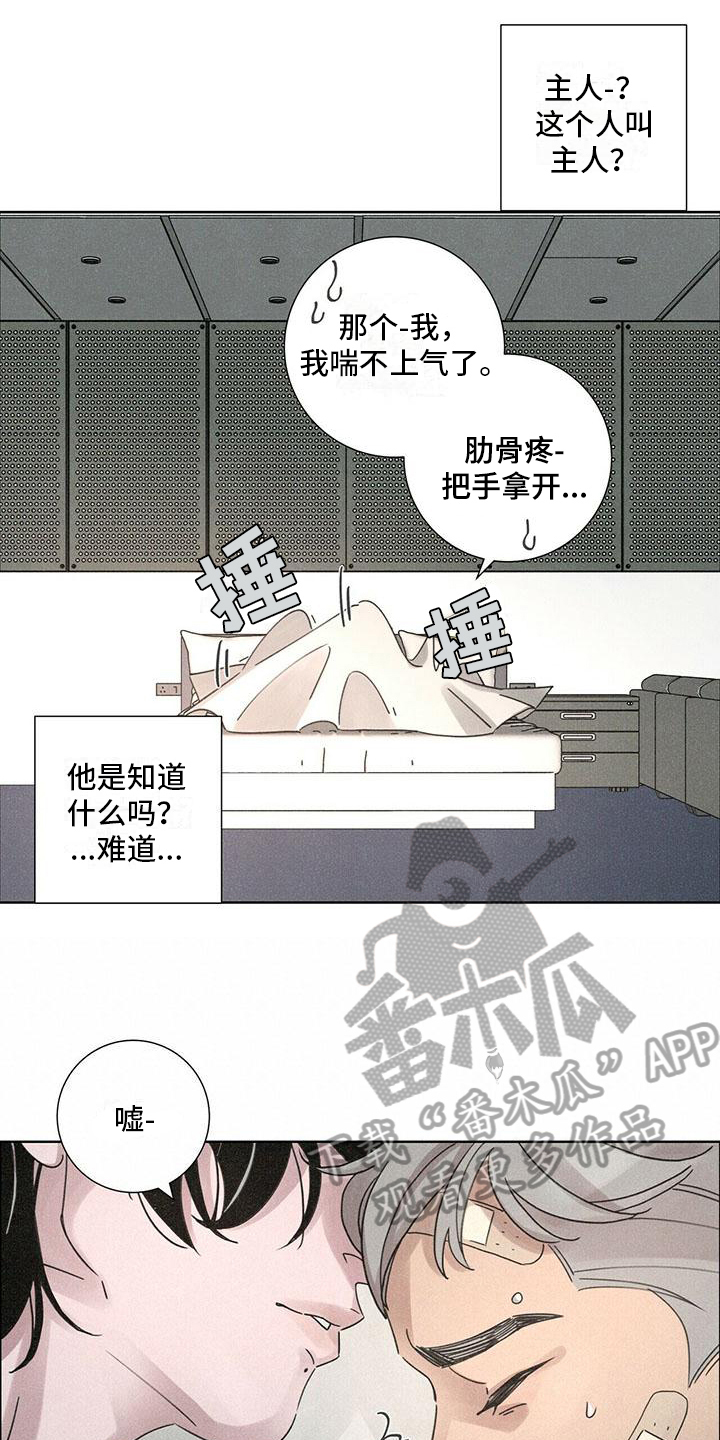 爱情深邃的眼神视频漫画,第4话2图