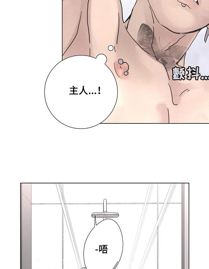 爱情神话韩剧免费观看漫画,第47话2图