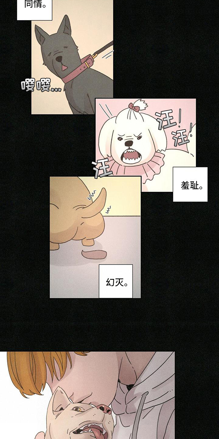 爱情神话电影在线免费观看完整版漫画,第1话1图