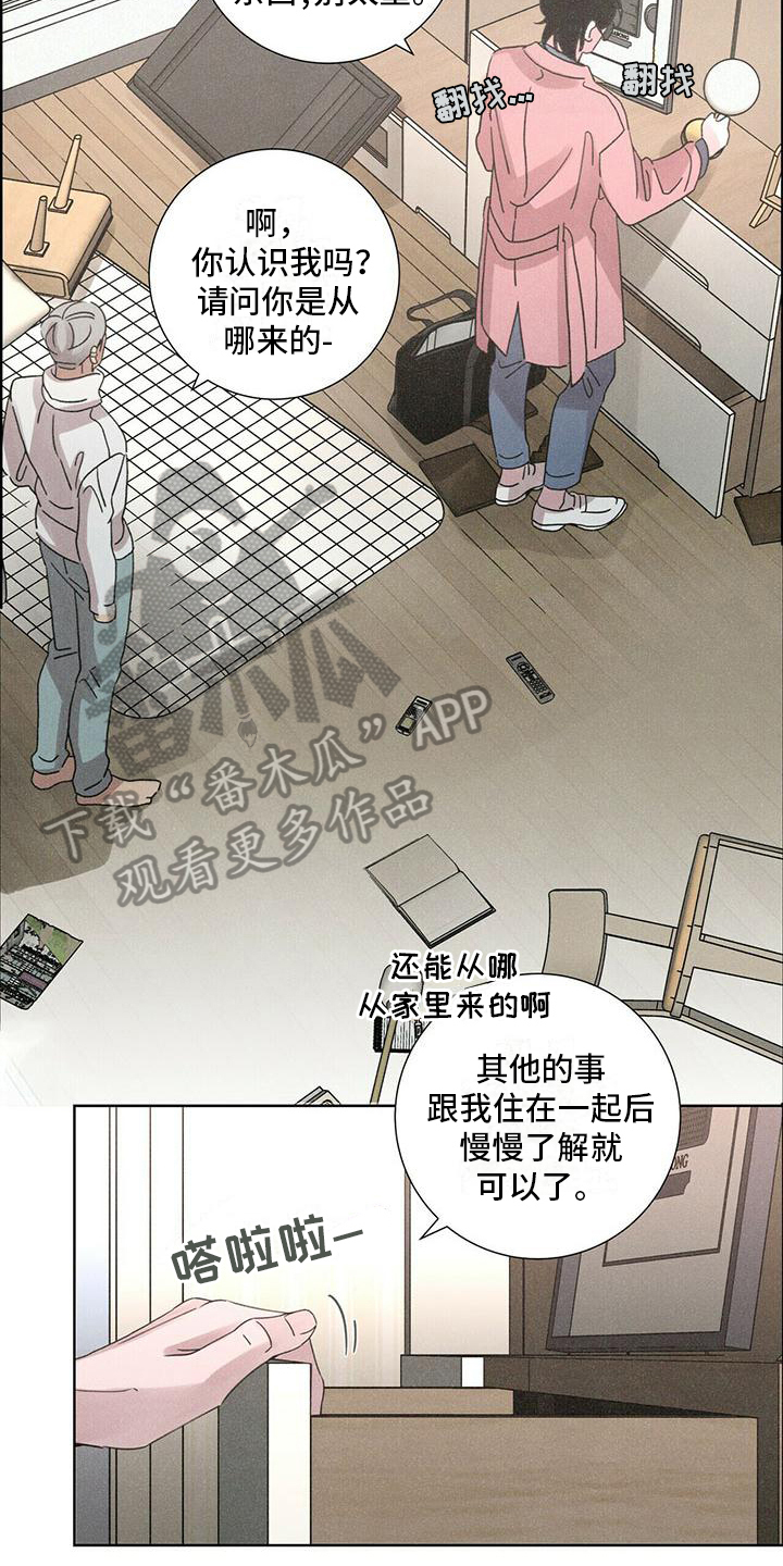 爱情深邃的眼神视频漫画,第4话1图