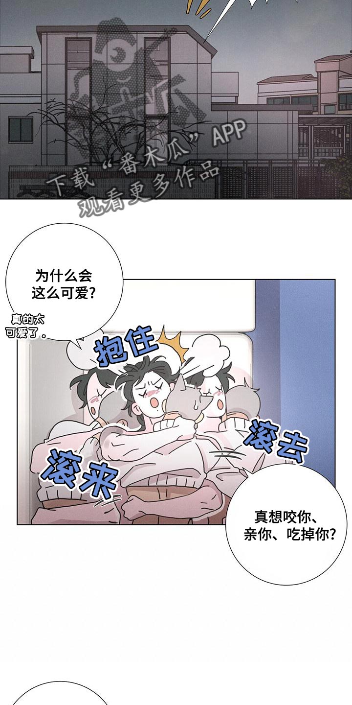 爱情神话韩剧免费观看漫画,第41话1图