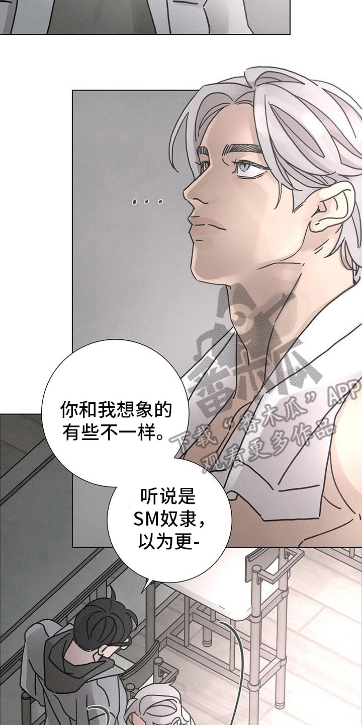 爱情深渊简谱漫画,第106话2图