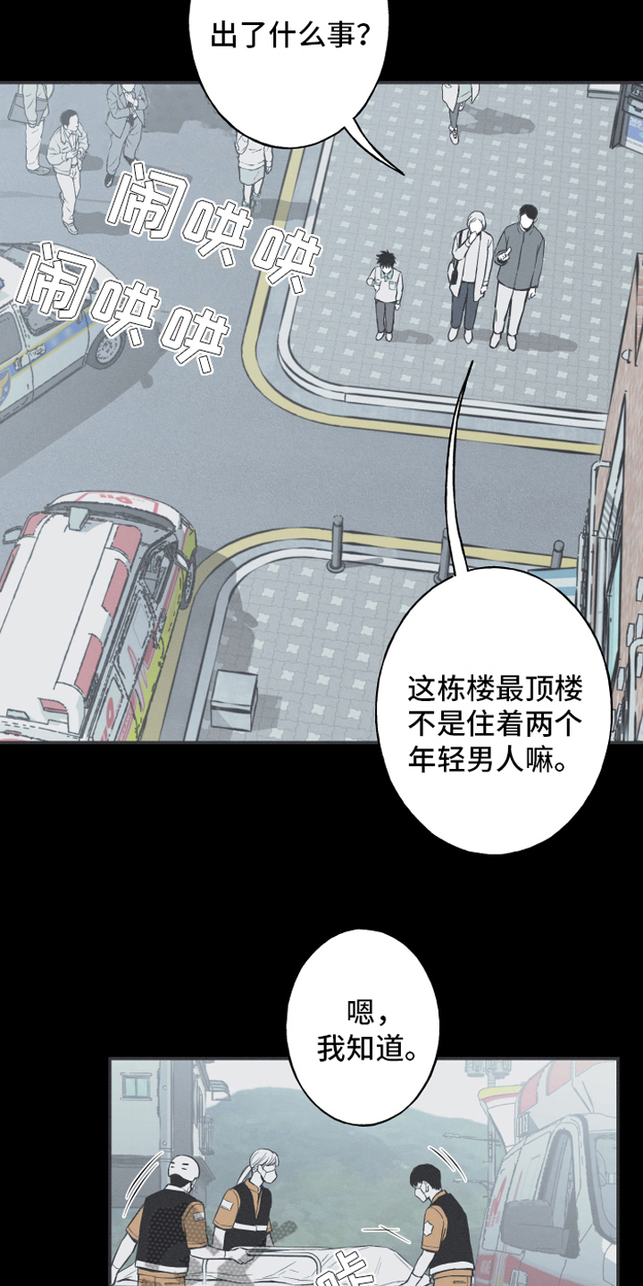 蛇年纪念币预约时间漫画,第6话2图