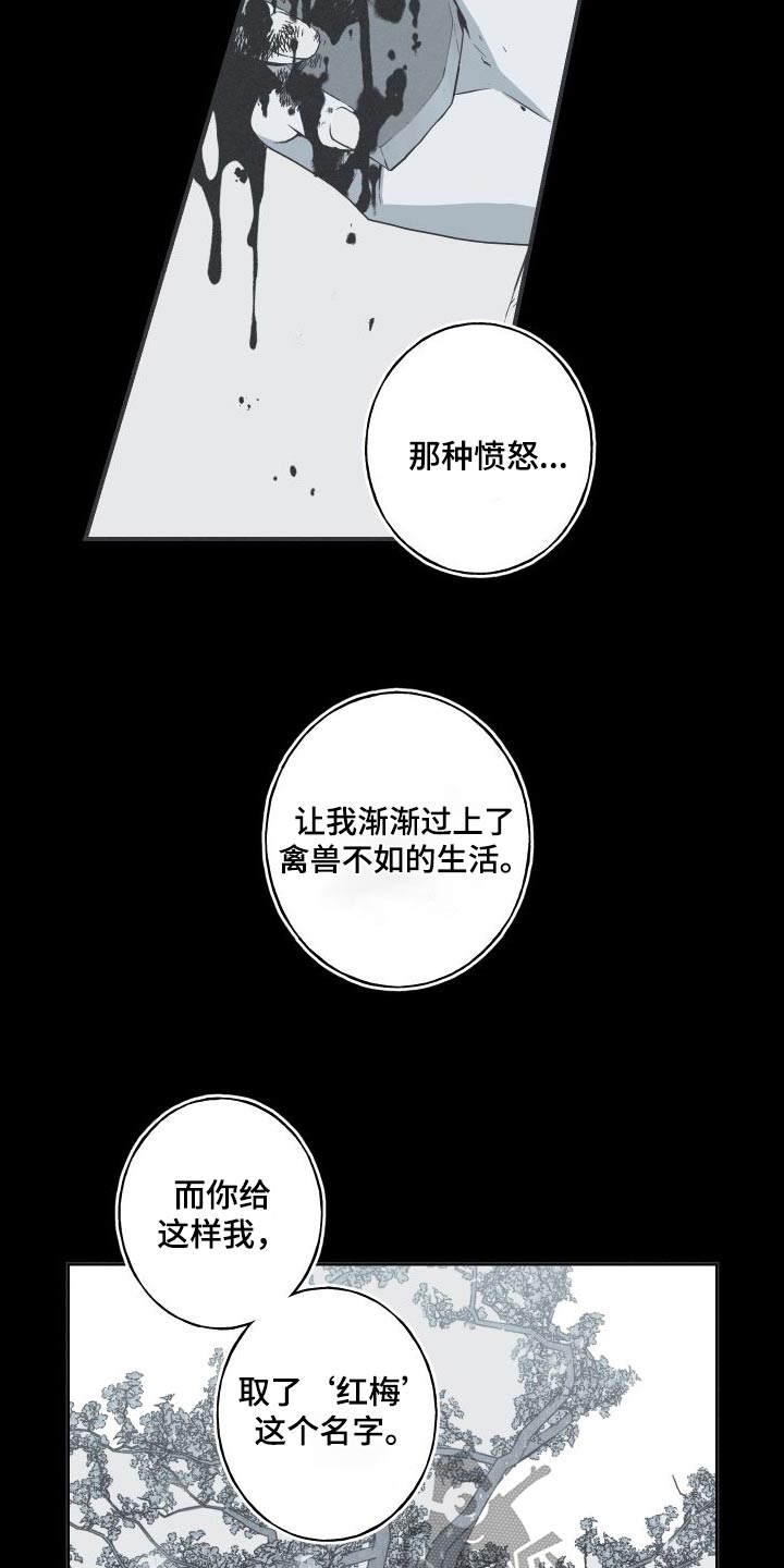 蛇的视频大全漫画,第74话1图