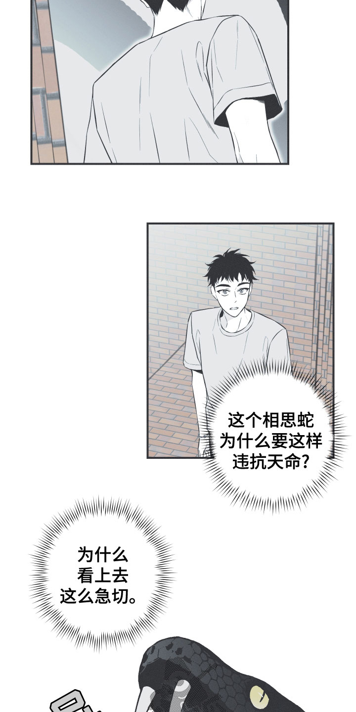 蛇环凶危漫画,第48话1图