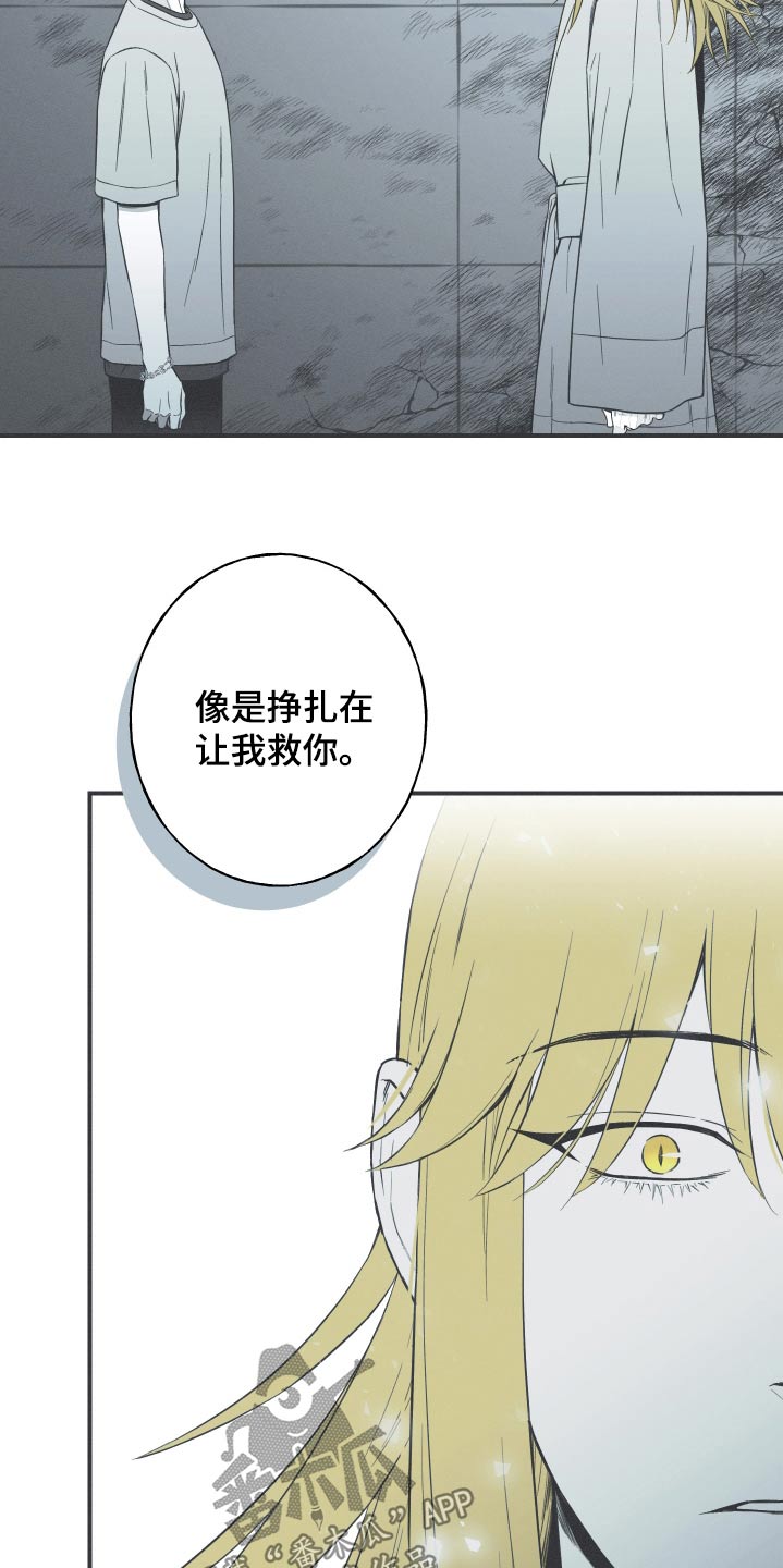 蛇环凶危漫画还叫什么名字漫画,第101话2图