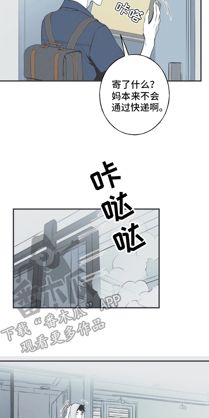 锒环蛇价格漫画,第8话1图