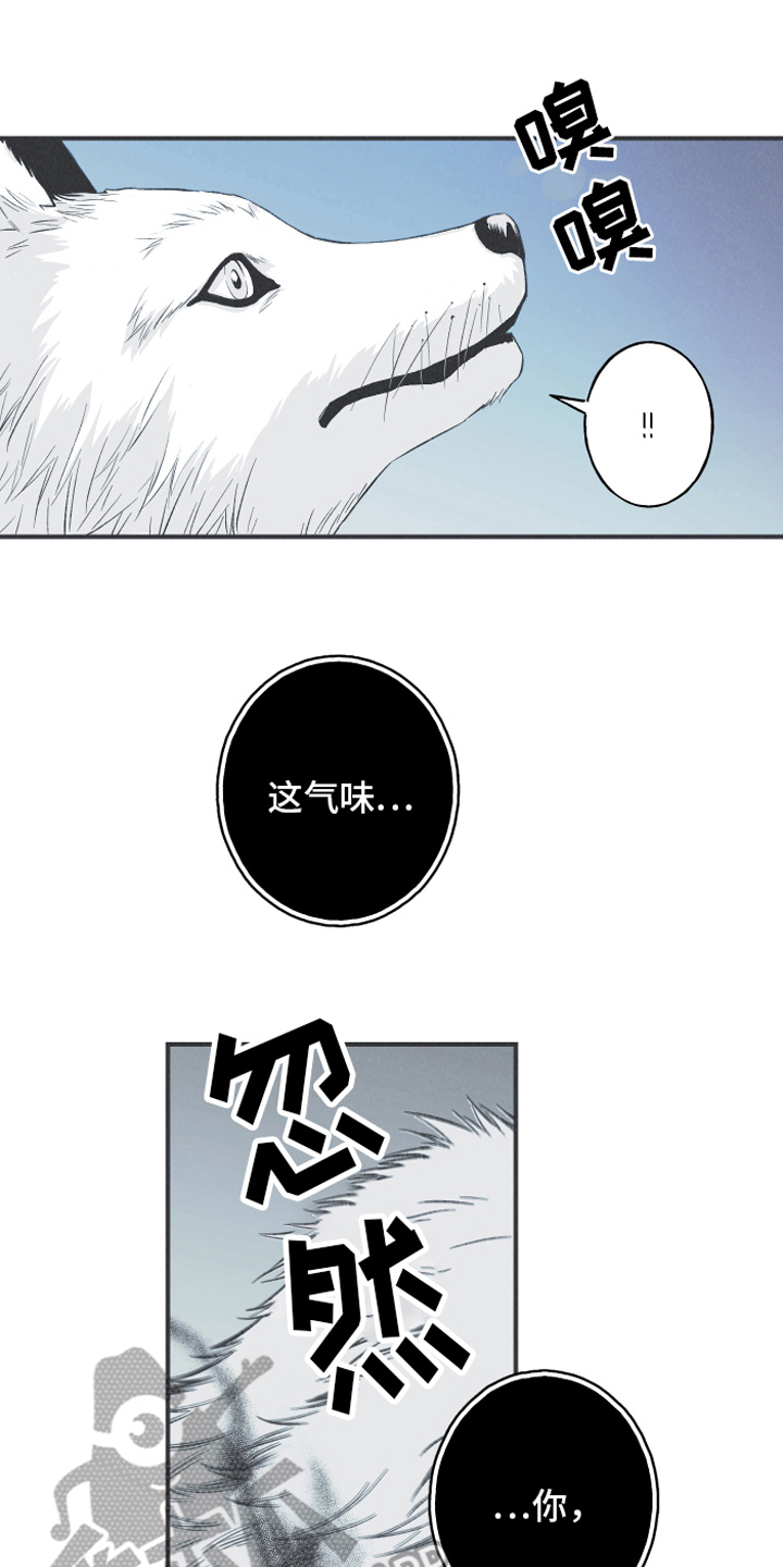 蛇环凶危漫画还叫什么名字漫画,第14话1图