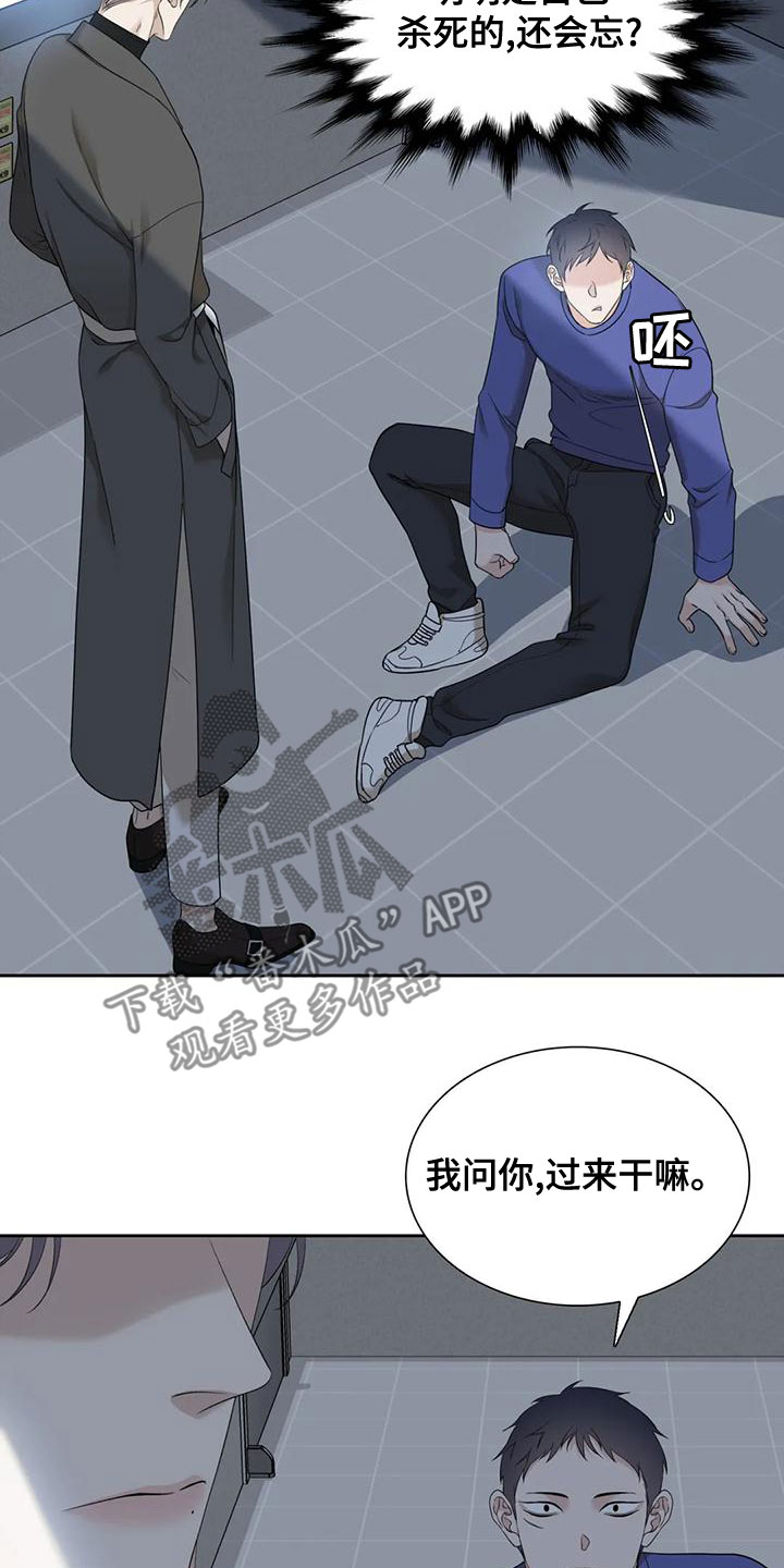 狂徒后爱漫画免费阅读下拉式免费漫画免费阅读漫画,第43话2图