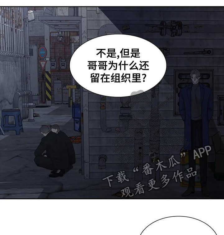 狂徒后爱漫画全集漫画,第40话1图
