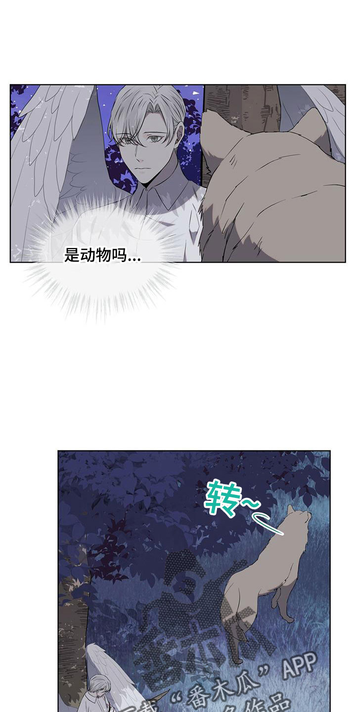 森海之恋漫画,第36话2图